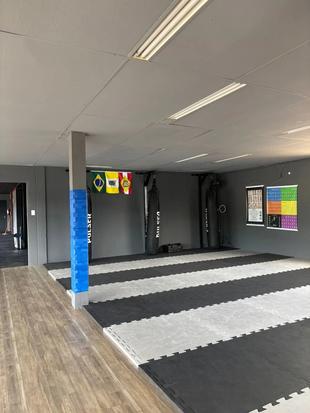 Tatame de Jiu-Jitsu da CHJ